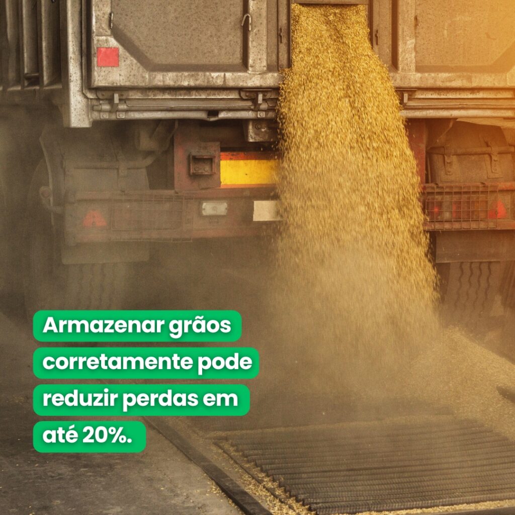 Início 5 Blog Branorte