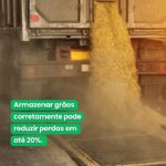 Armazenamento Correto de Grãos: Como Reduzir Perdas em Até 20%