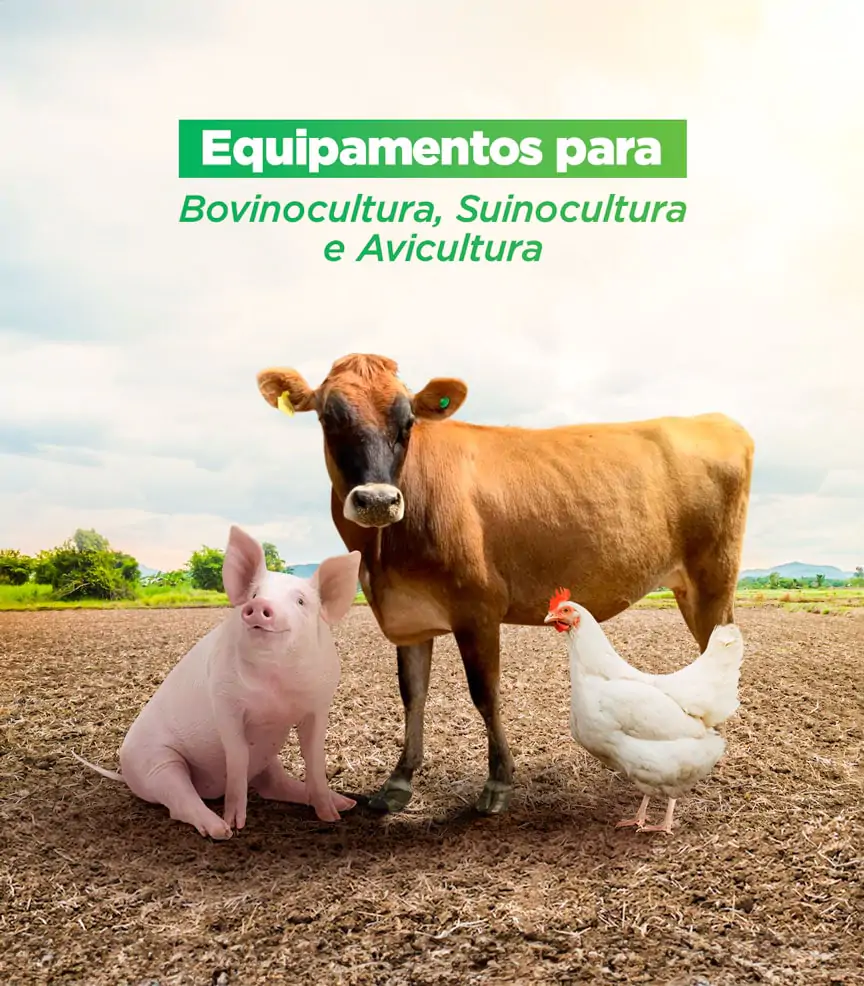 Equipamentos para produção de ração para Bovinos, Suínos e Aves.